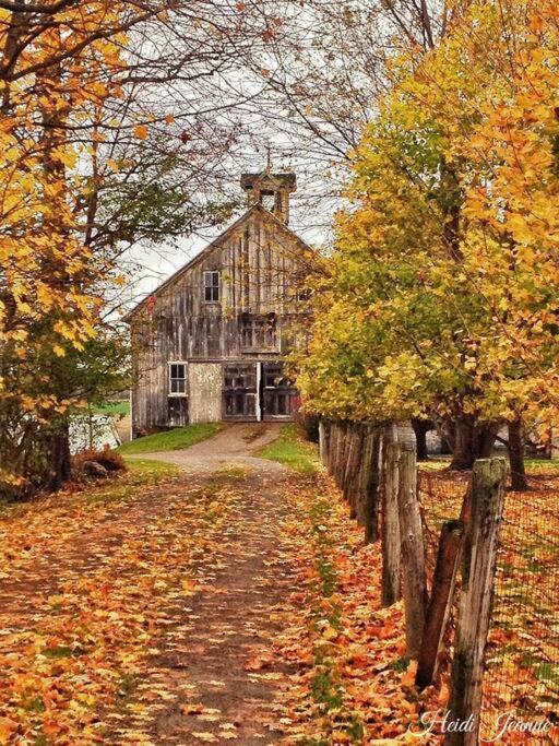 Panther Mountain Lodge Финишия Экстерьер фото